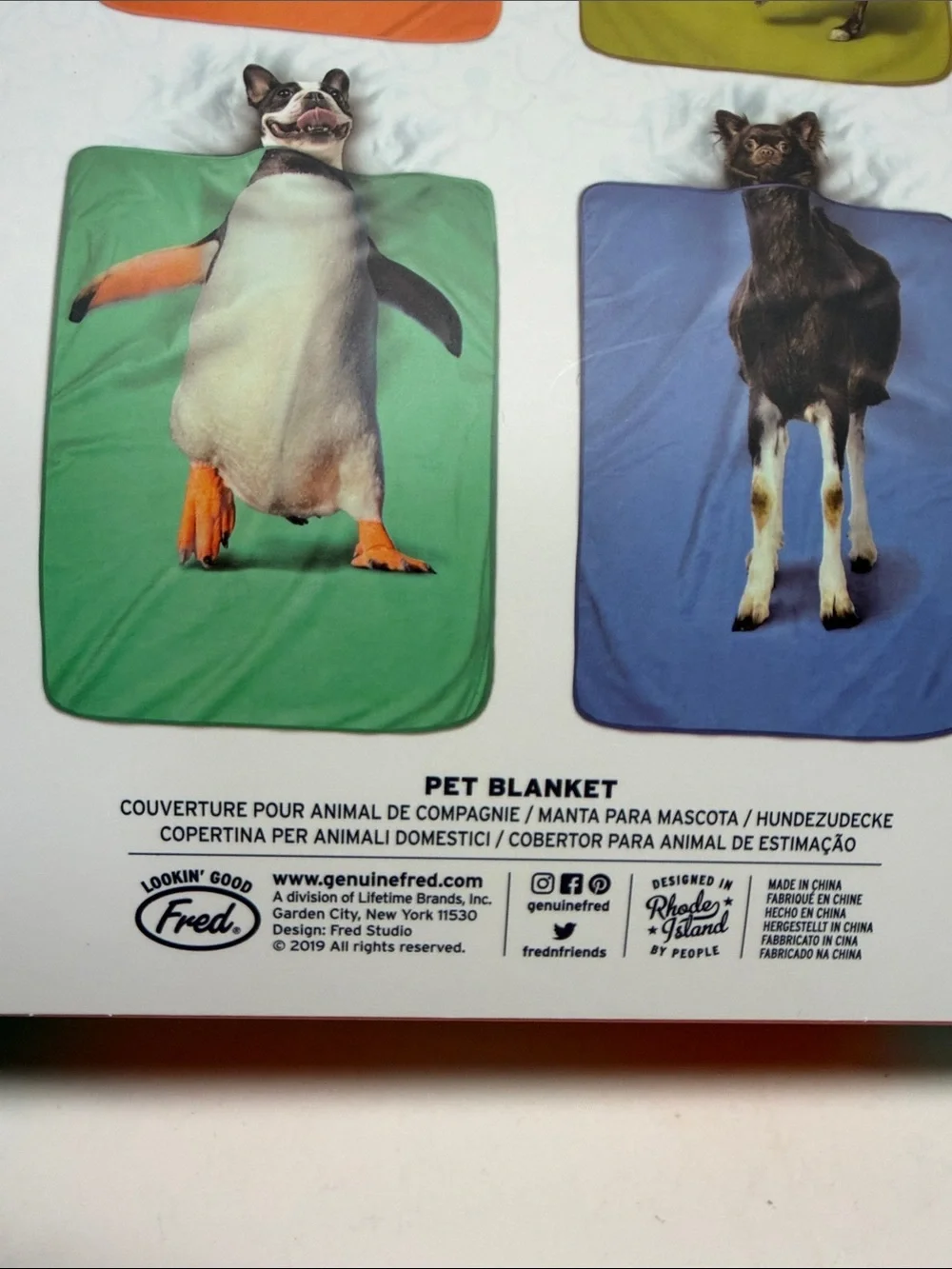 Exotic Pets Teal & Orange Penguin Pet Blanket